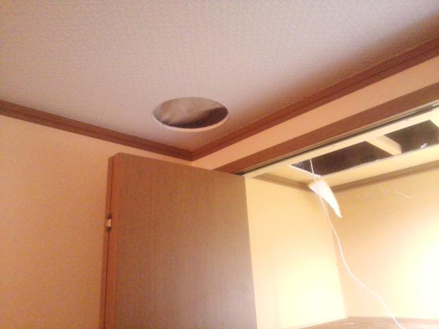 びふぉ