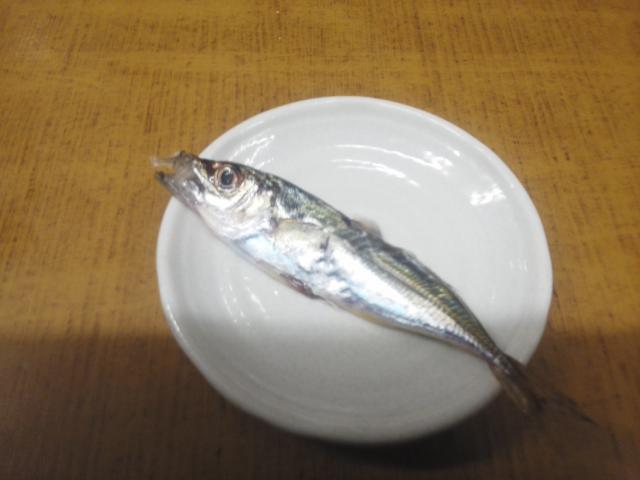 タイトル