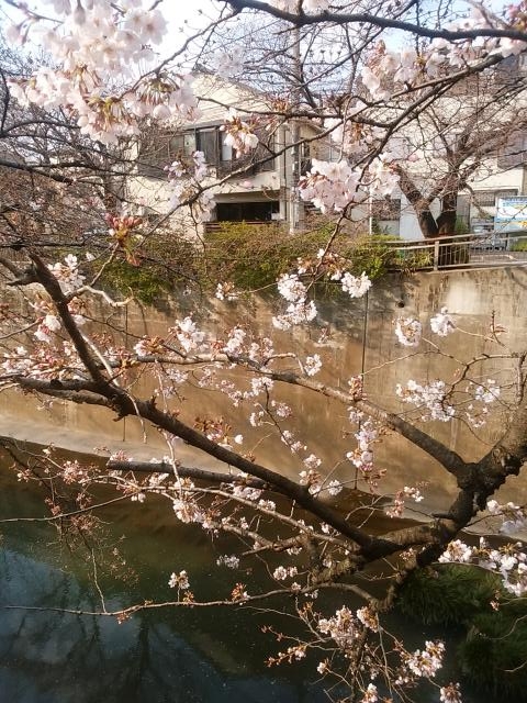 タイトル