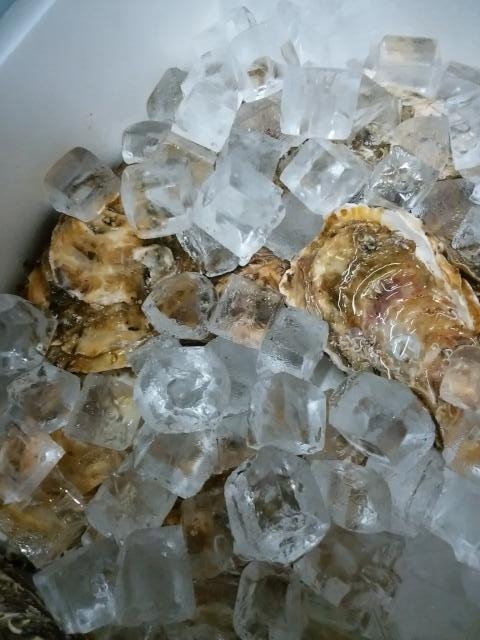 タイトル