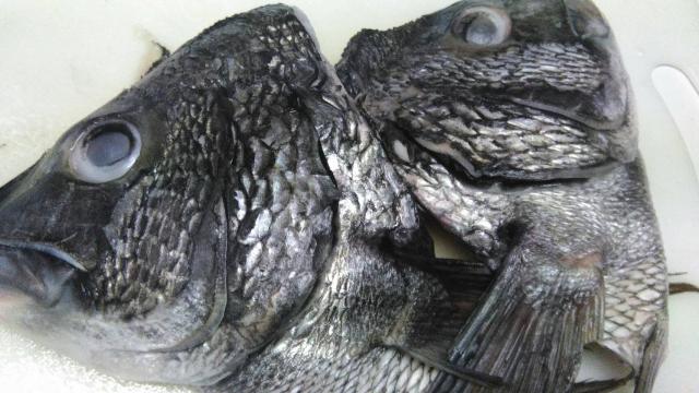 タイトル