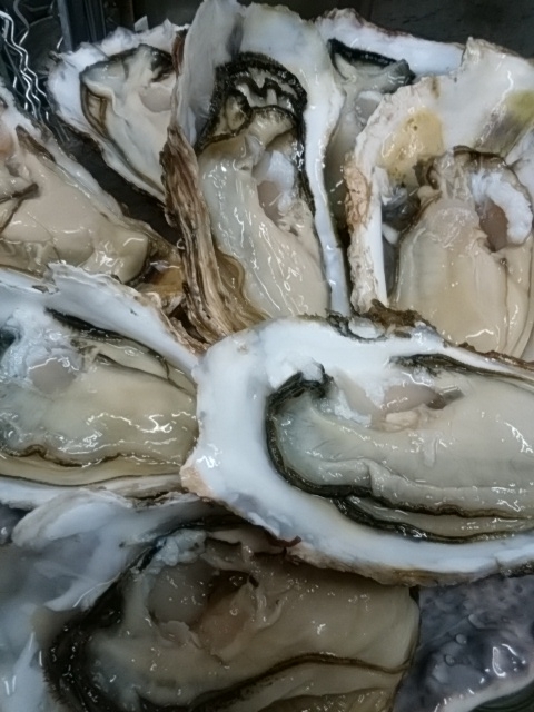 タイトル