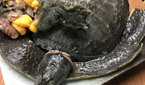 タイトル